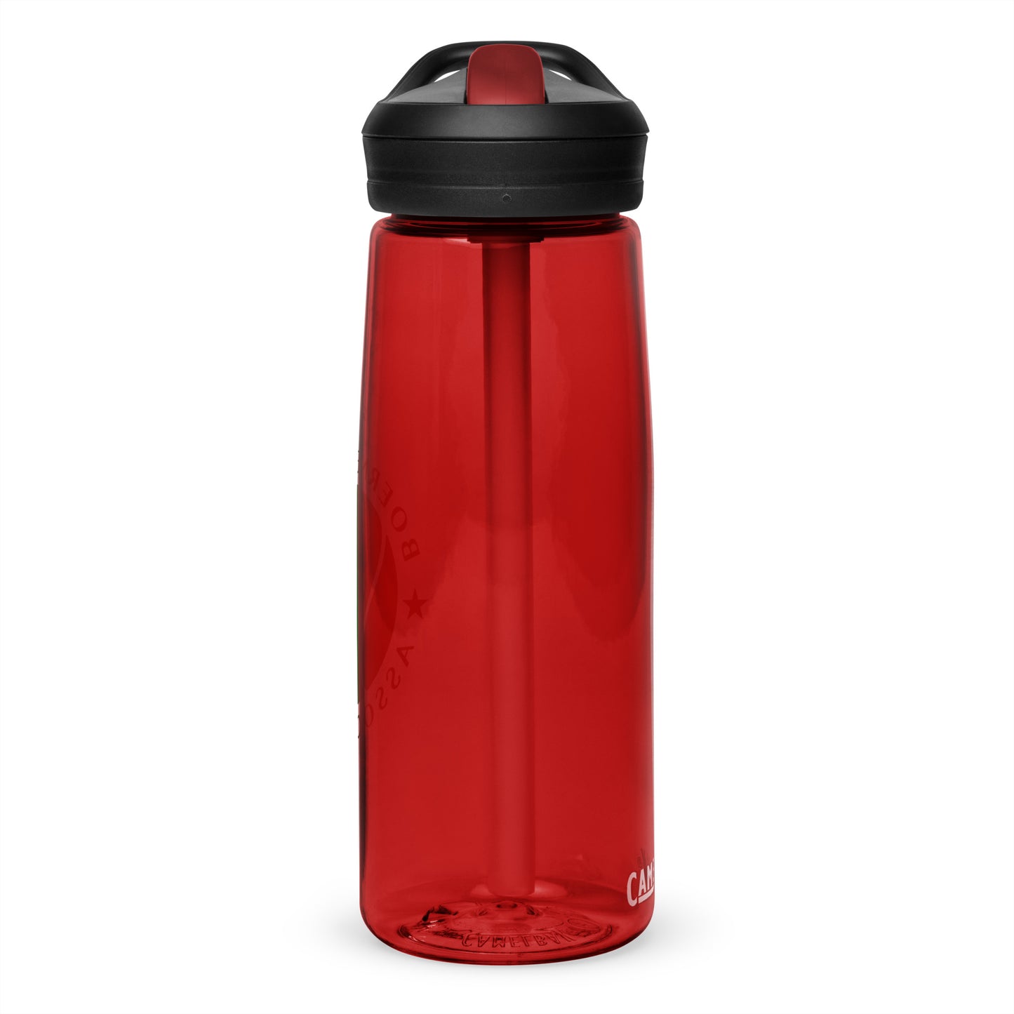 Sports water bottle